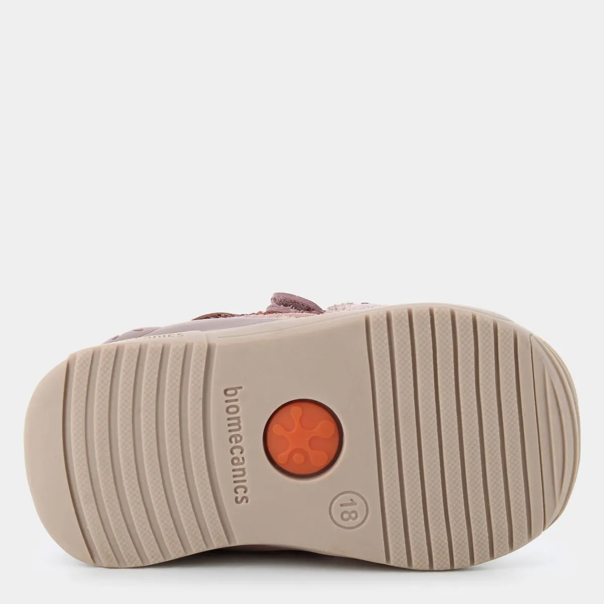 241104Biogateo- PRIMI PASSI^BIOMECANICS Hot