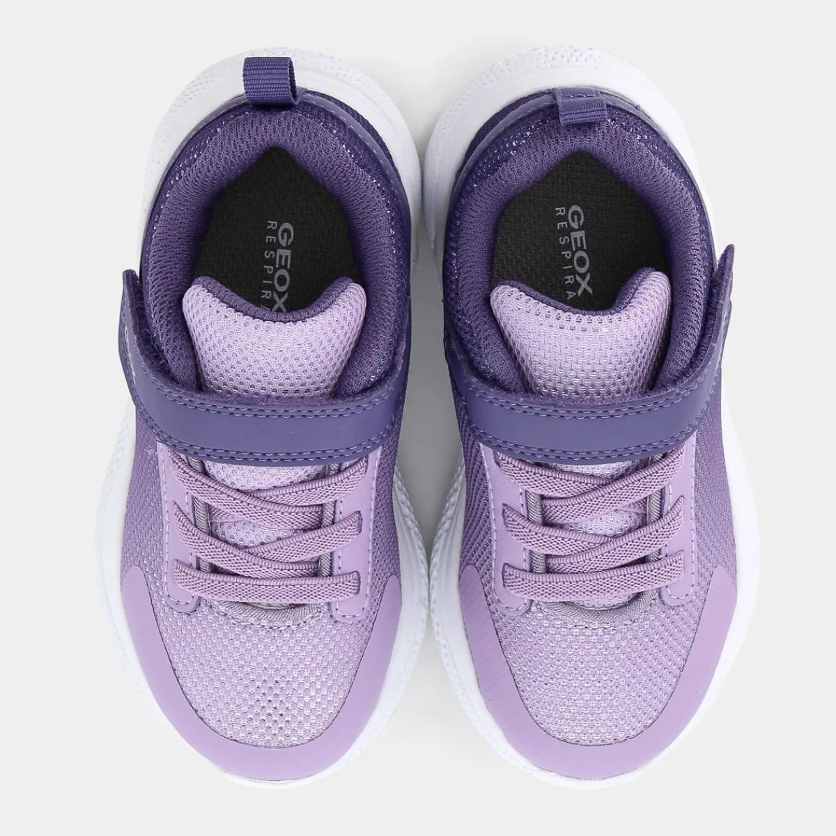 B464TA0AS54C8318SPRINTYEDK VIOLET LILAC- PRIMI PASSI^GEOX Online