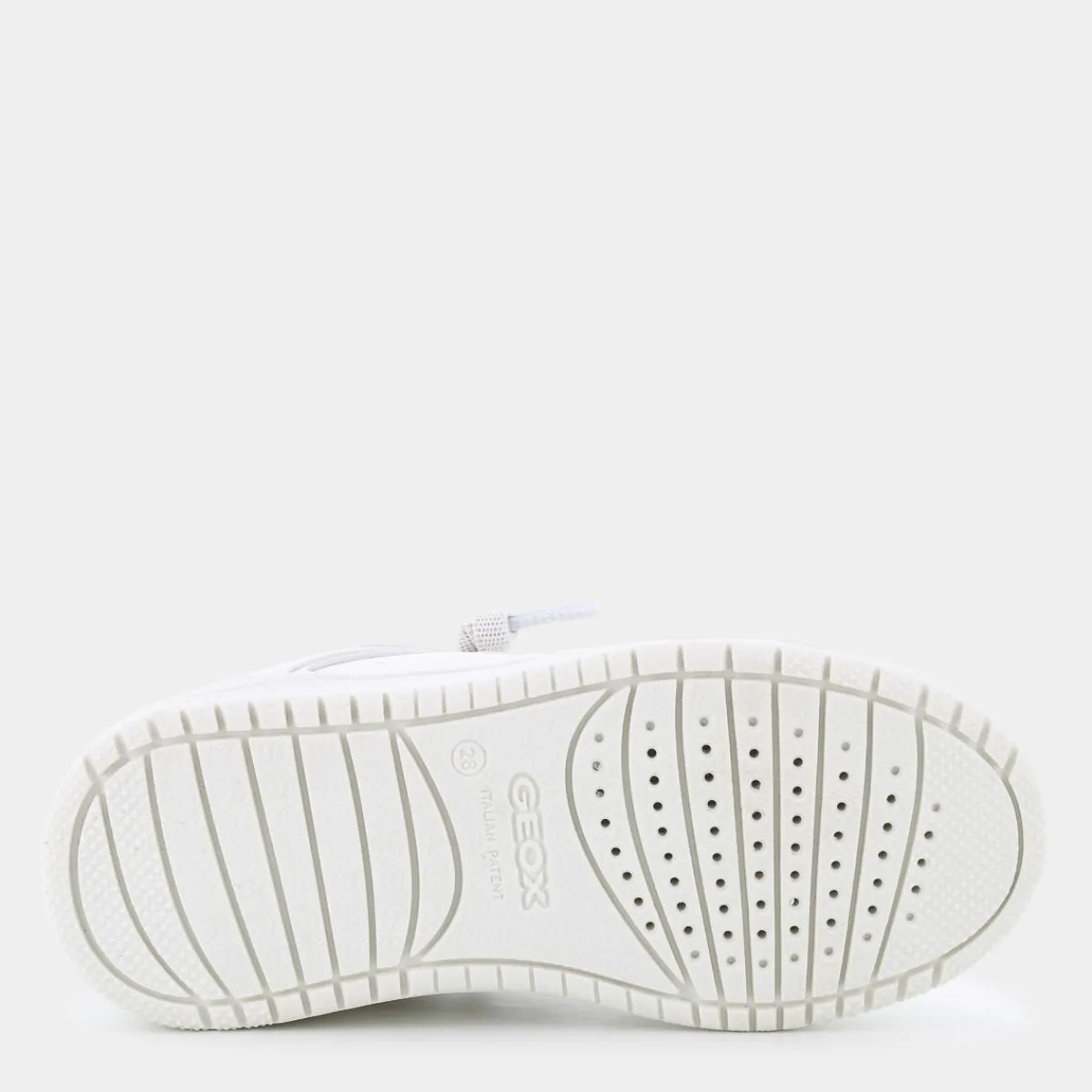 J36HXD054FUC1000WASHIBA- SNEAKERS^GEOX Cheap