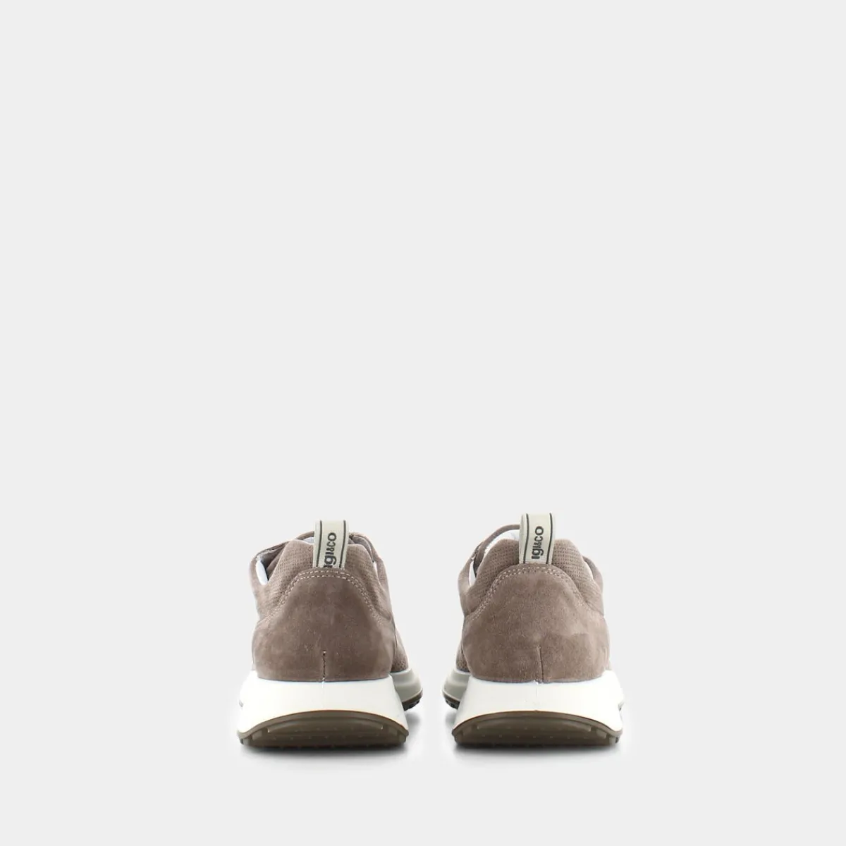 3629022SARONNOPELTRO- SNEAKERS^IGI & CO. Hot