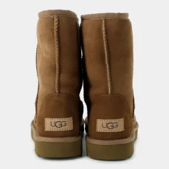 1016223SHORTCHESTNUT- TRONCHETTI^UGG Discount