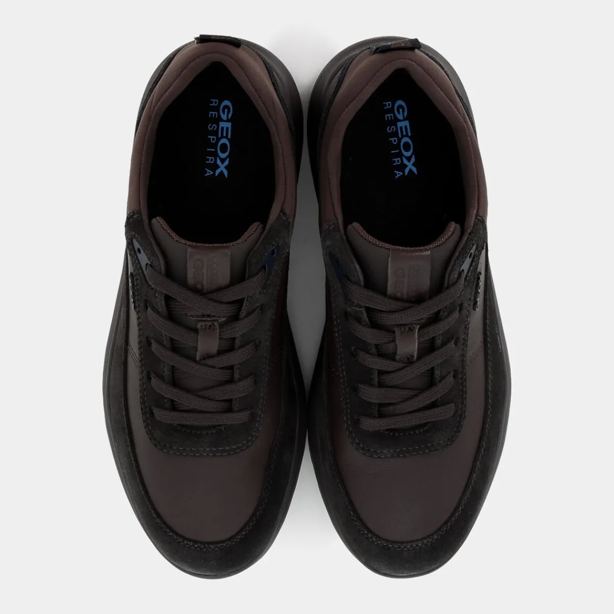 U16BYE08522C6009SPHERICA ECOFFEE- SNEAKERS^GEOX Cheap